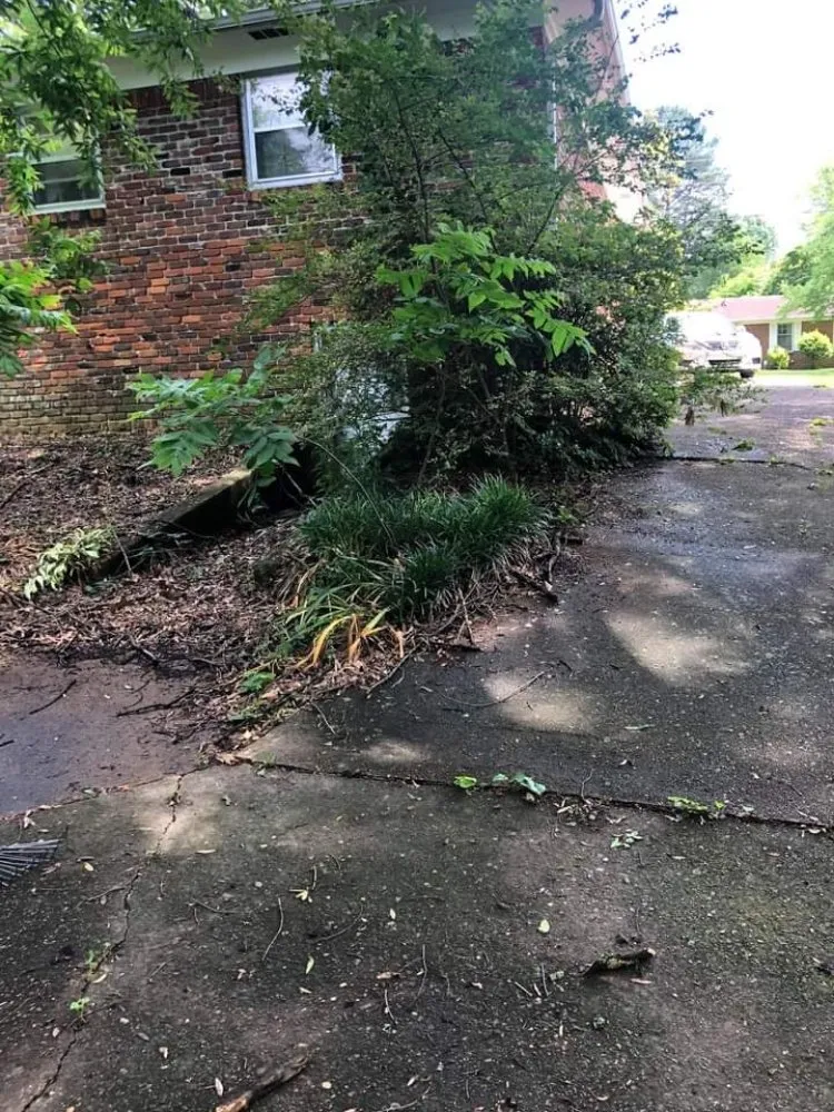 Professional landscaping services for residential properties in Jackson, TN by D Touch