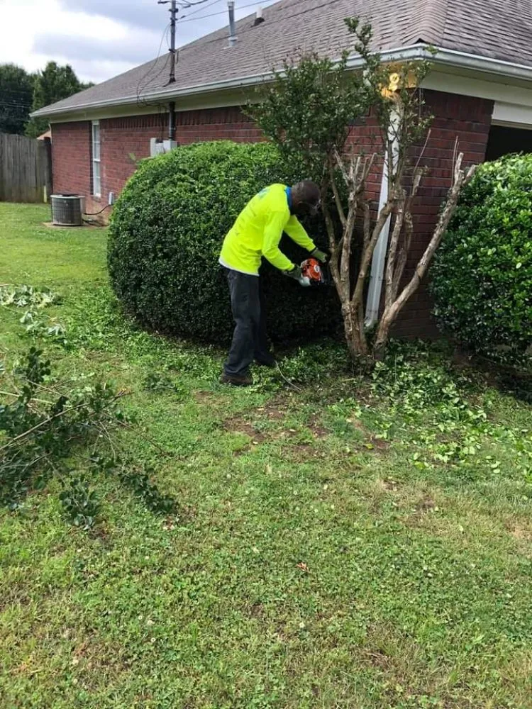 Expert landscape installation for residential properties in Jackson, TN by D Touch