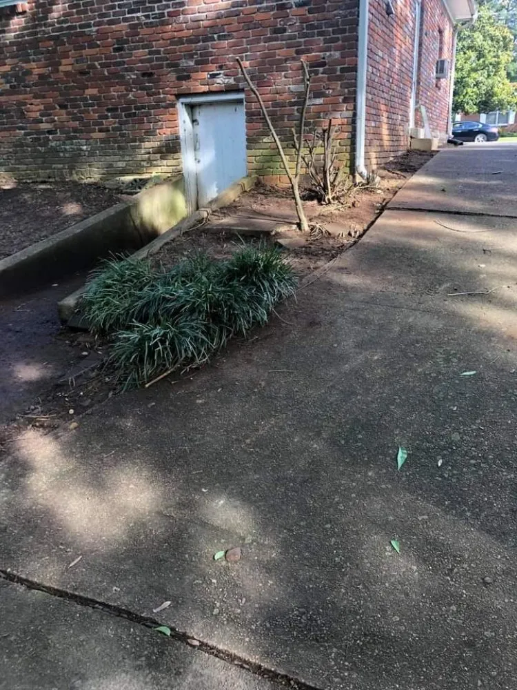 Trusted lawn mowing service in Jackson, TN - D Touch