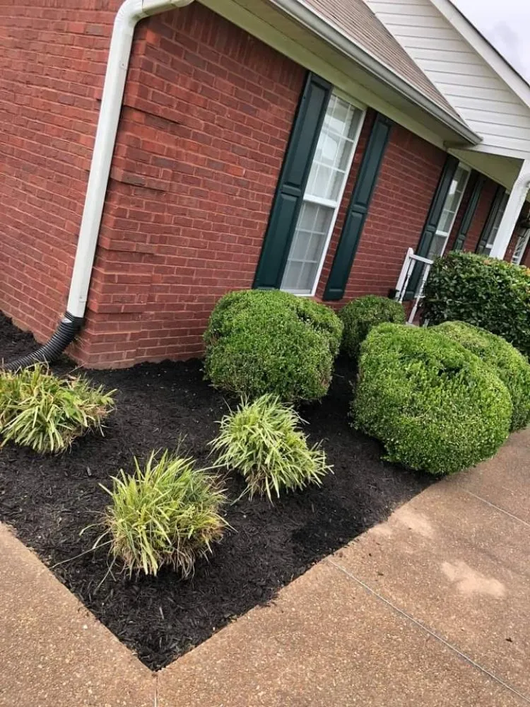 Affordable residential landscaping in Jackson, TN - D Touch