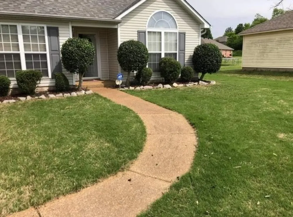 Expert landscaping services experts serving Jackson, TN - D Touch