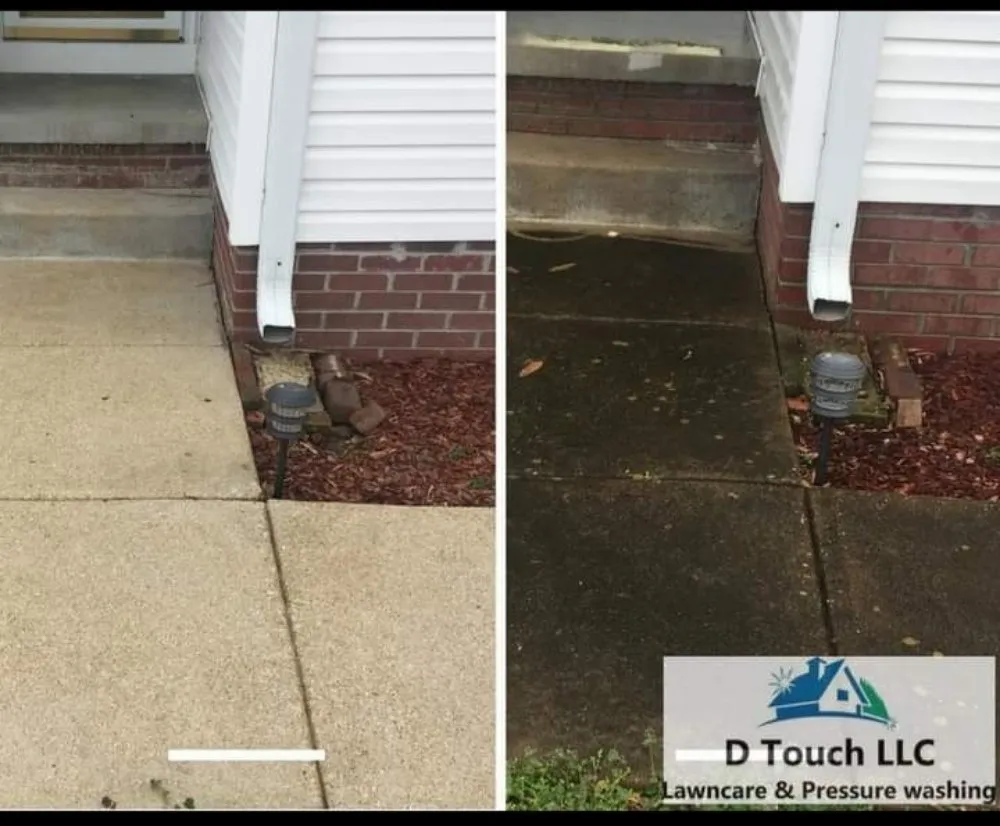 Professional yard cleanup service in Jackson, TN - D Touch