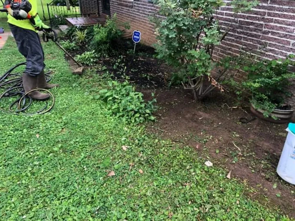 Reliable landscape design in Jackson, TN - D Touch