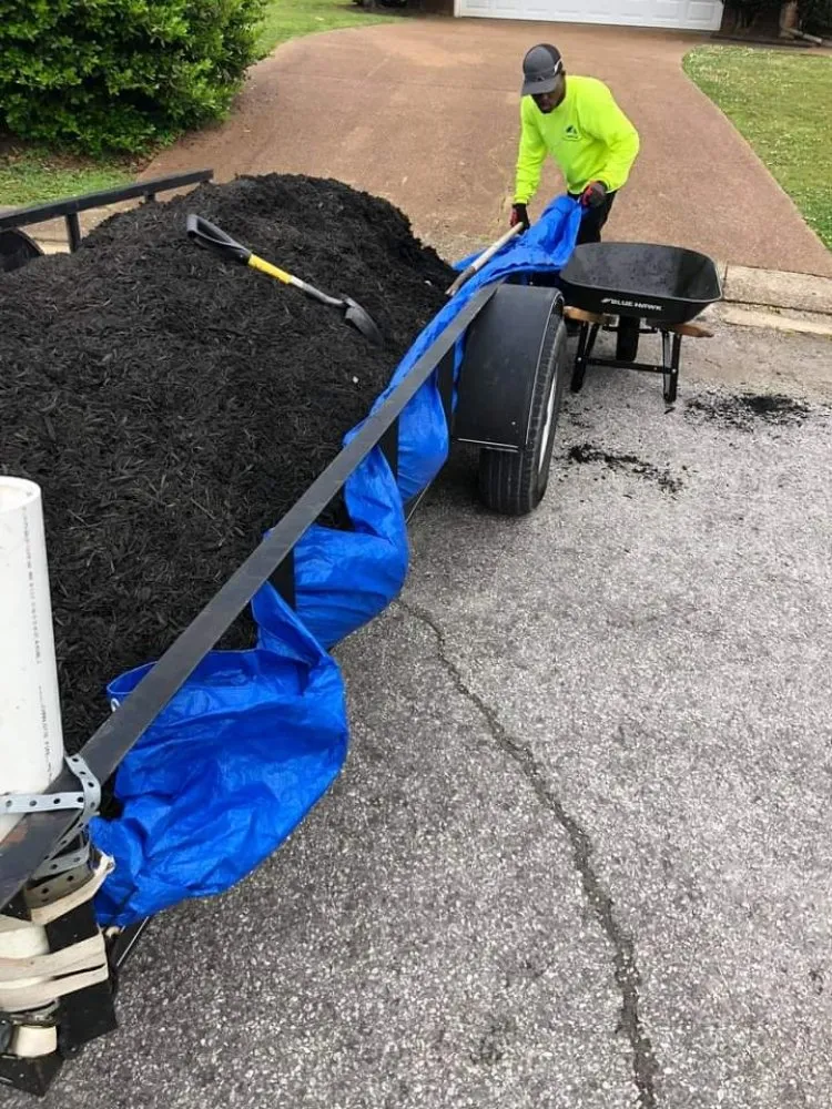 Custom lawn care service in Jackson, TN - D Touch