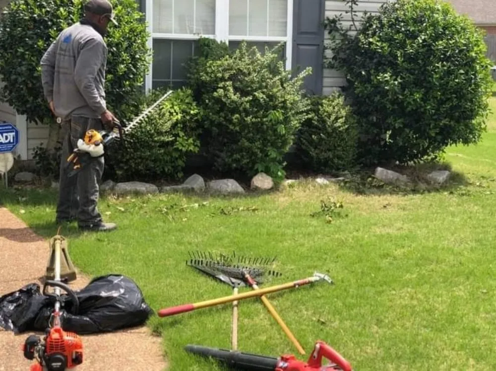 Expert lawn mowing service in Jackson, TN by D Touch