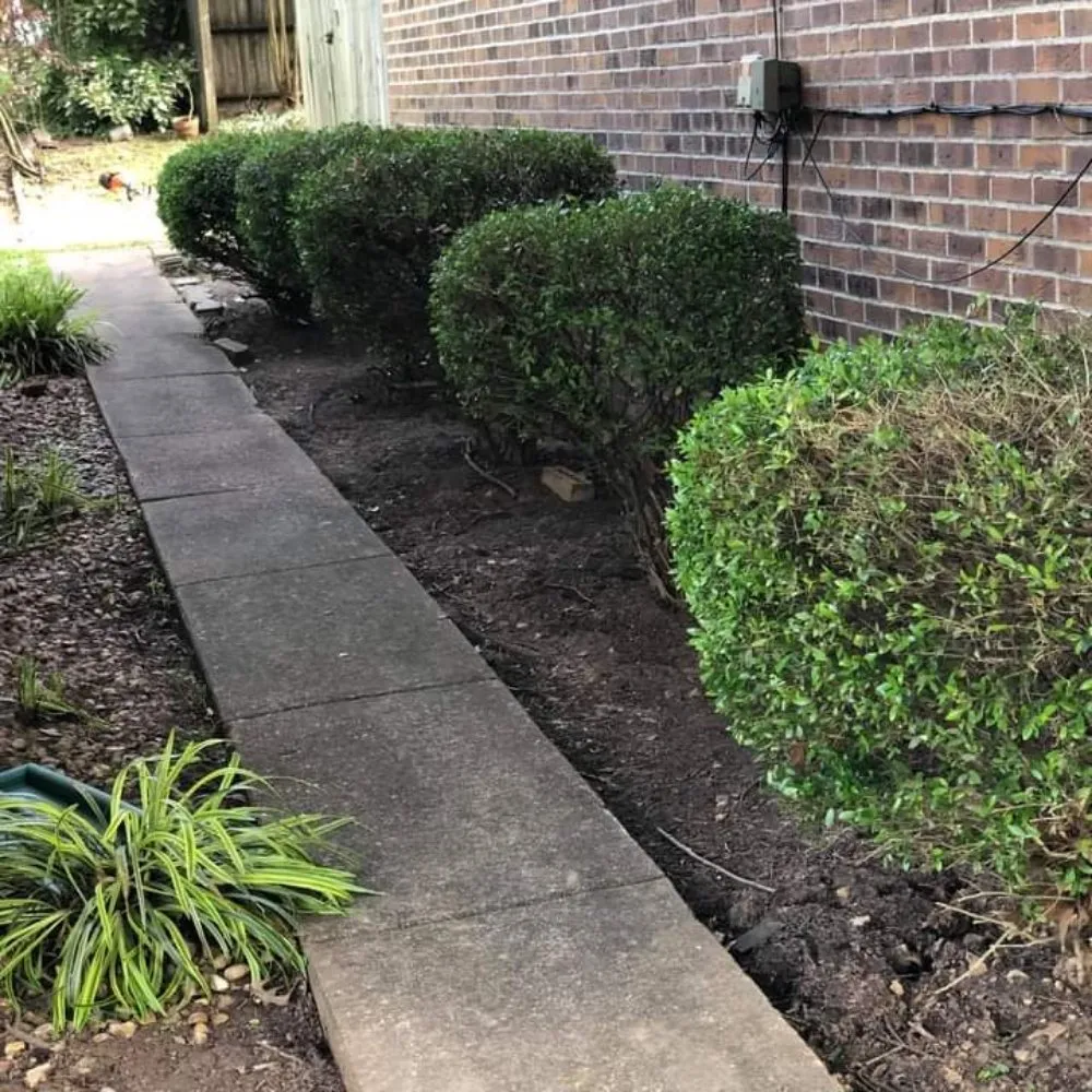 Custom landscaping services for beautiful yards across Jackson, TN - D Touch