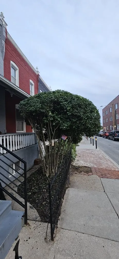 Reliable outdoor landscaping in Philadelphia, PA by D W Lawn Care