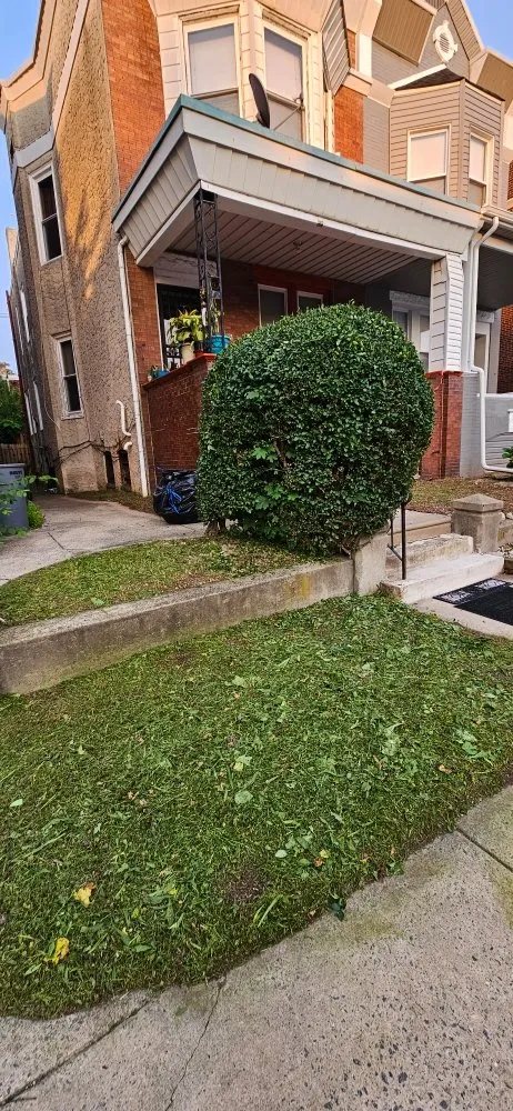 Local yard maintenance for outdoor upgrades across Philadelphia, PA - D W Lawn Care