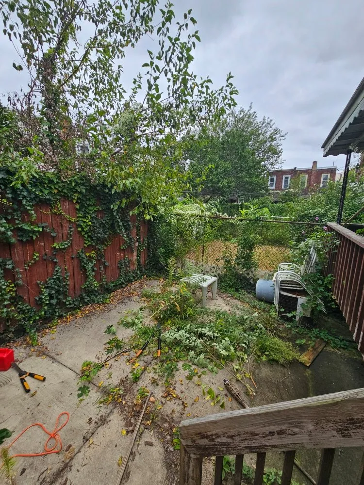 Affordable yard maintenance experts serving Philadelphia, PA - D W Lawn Care