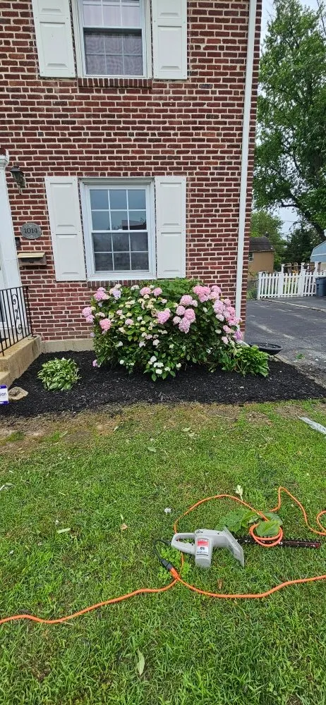 Trusted lawn care service near you across Philadelphia, PA - D W Lawn Care