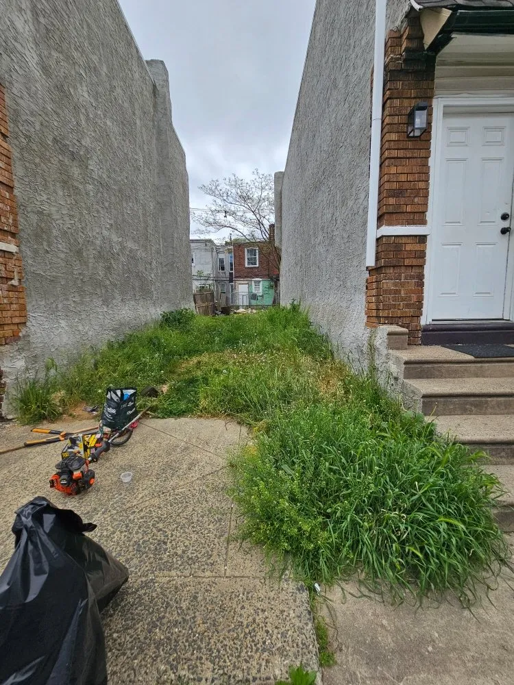 Professional lawn care service for year-round maintenance across Philadelphia, PA - D W Lawn Care