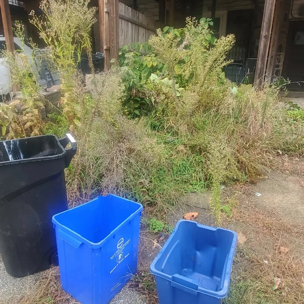 Expert residential landscaping for beautiful yards across Philadelphia, PA - D W Lawn Care