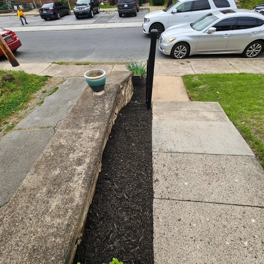 Local yard maintenance experts serving Philadelphia, PA - D W Lawn Care