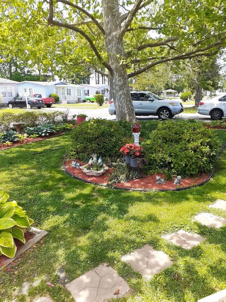 Professional landscape design experts serving North Myrtle Beach, SC - D. Watkins and Son Professional Lawncare