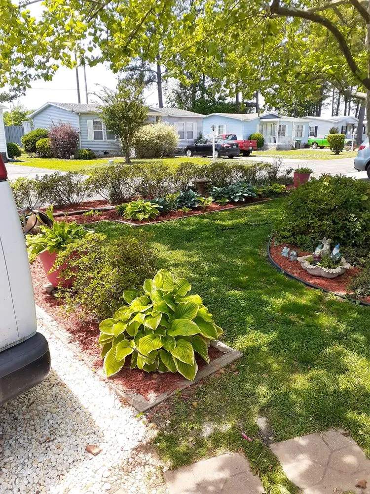Reliable landscaping services experts serving North Myrtle Beach, SC - D. Watkins and Son Professional Lawncare