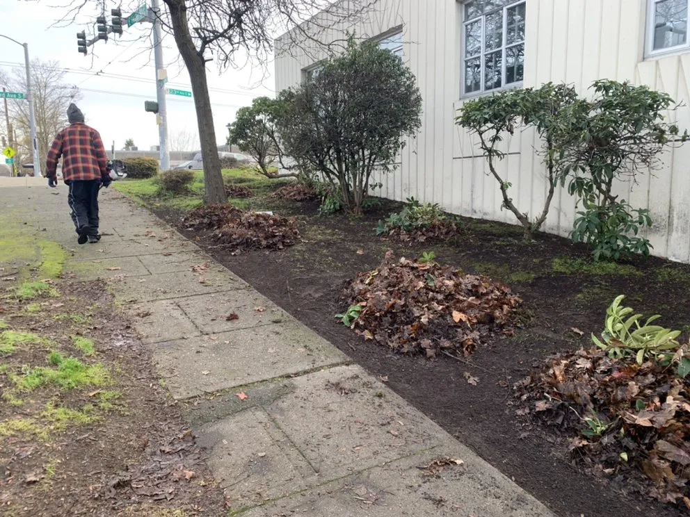 Affordable yard maintenance for outdoor upgrades across Seattle, WA - D Wills Lawn & Haul