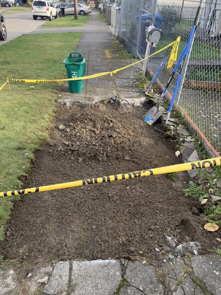 Top-rated landscape design in Seattle, WA - D Wills Lawn & Haul