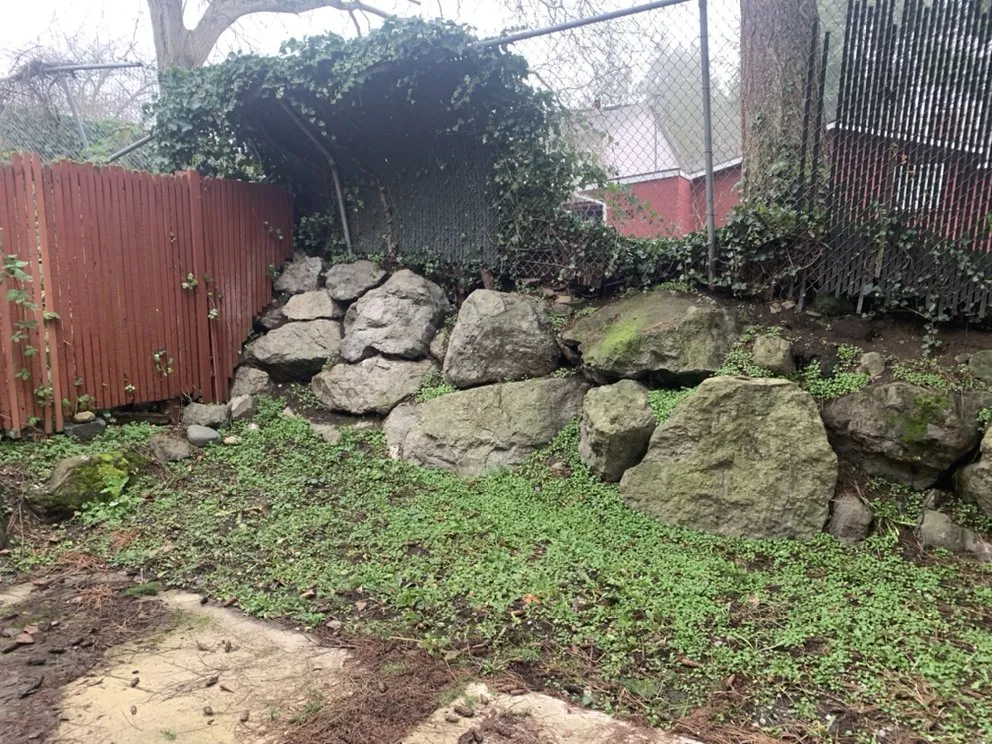 Trusted lawn mowing service near you across Seattle, WA - D Wills Lawn & Haul