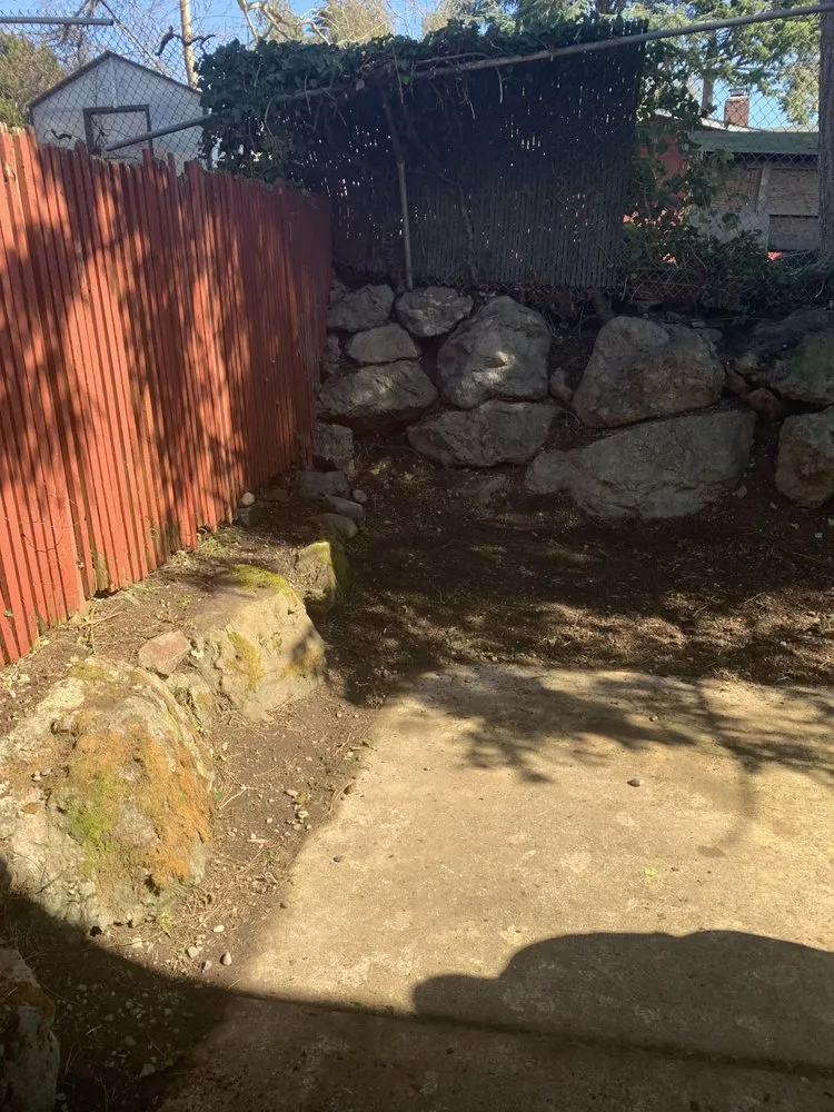 Trusted yard maintenance in Seattle, WA - D Wills Lawn & Haul