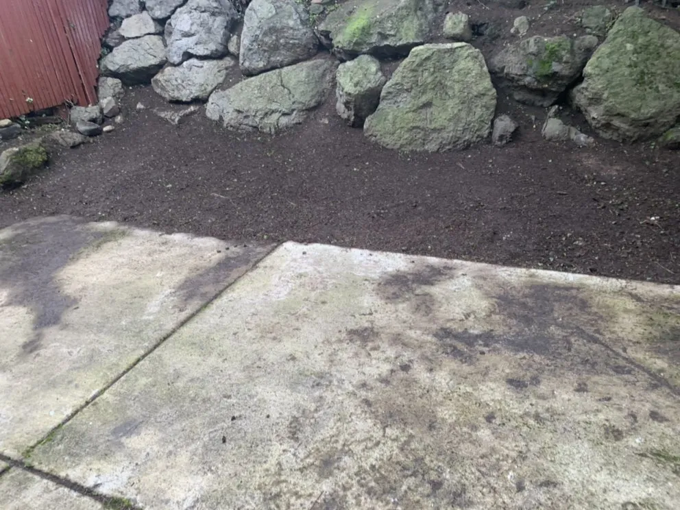 Reliable lawn mowing service experts serving Seattle, WA - D Wills Lawn & Haul