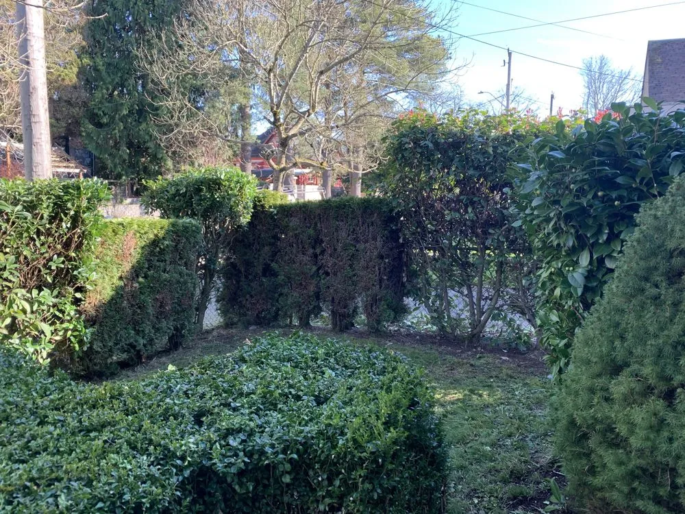 Top-rated yard maintenance in Seattle, WA by D Wills Lawn & Haul