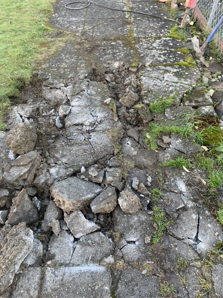 Affordable yard cleanup service experts serving Seattle, WA - D Wills Lawn & Haul