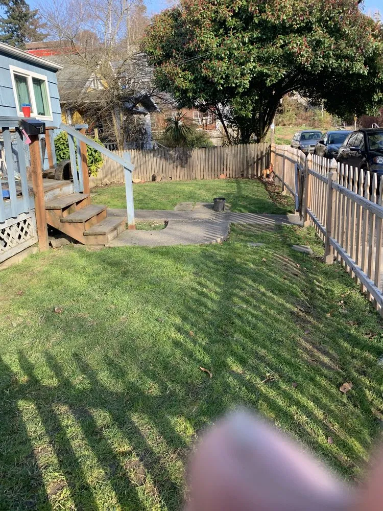 Local residential landscaping for homes in Seattle, WA by D Wills Lawn & Haul