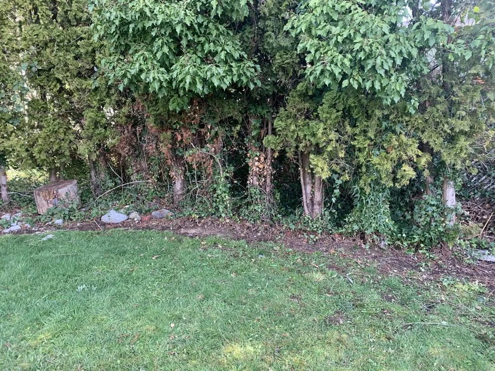 Local residential landscaping experts serving Seattle, WA - D Wills Lawn & Haul