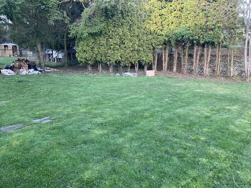 Top-rated outdoor landscaping in Seattle, WA by D Wills Lawn & Haul