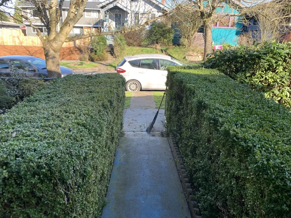 Trusted lawn care service for beautiful yards across Seattle, WA - D Wills Lawn & Haul