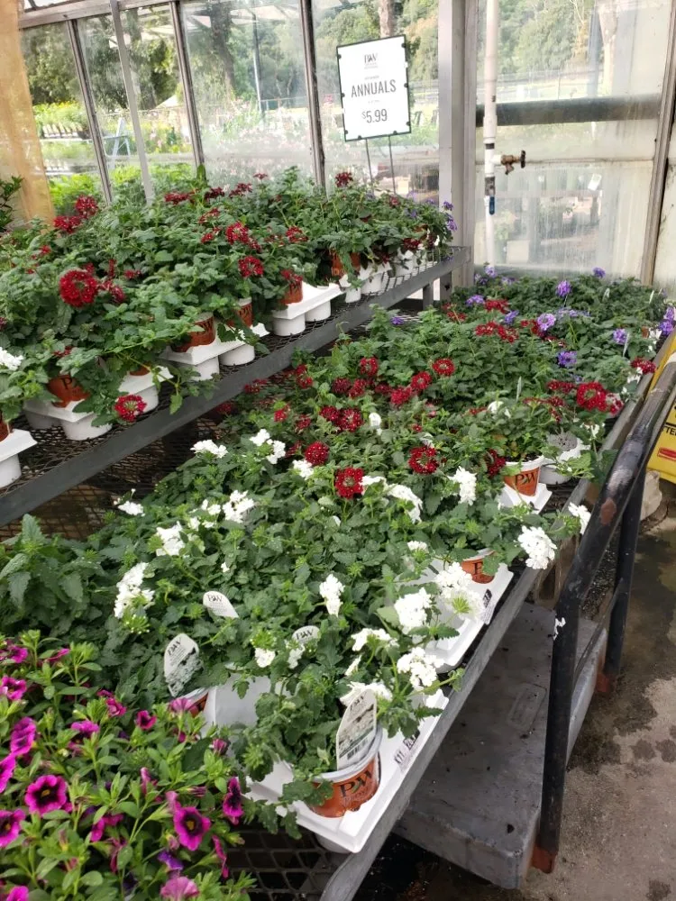 Professional landscape installation in Middleton, MA by D Zacarias Landscape & Masonry