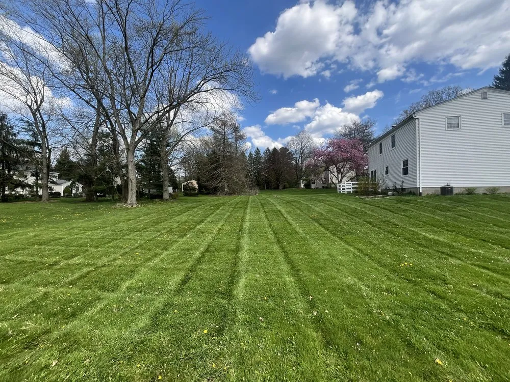Expert lawn mowing service in Streetsboro, OH - D1 Lawn and Landscape