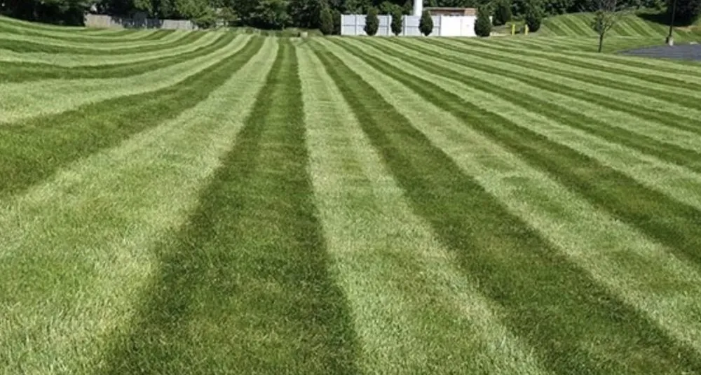 Trusted garden landscaping experts serving Phenix City, AL - D2 Outdoor Solutions