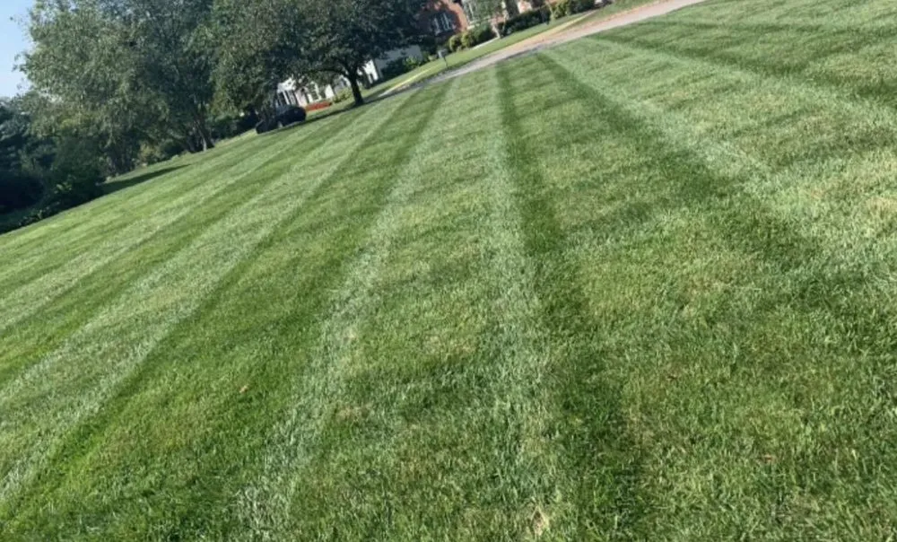 Expert landscape design for year-round maintenance across Phenix City, AL - D2 Outdoor Solutions