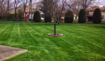 Reliable landscaping services experts serving Bethlehem, PA - D3 Lawn Care