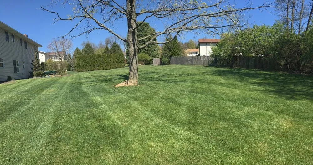 Reliable landscape design near you across Bethlehem, PA - D3 Lawn Care