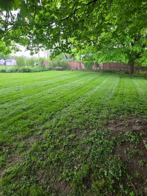 Affordable yard maintenance experts serving Anderson, IN - D3 Lawn Maintenance