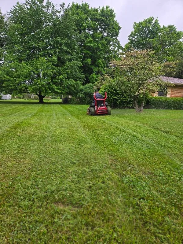 Custom yard cleanup service in Anderson, IN by D3 Lawn Maintenance