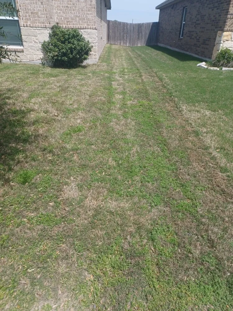 Local residential landscaping in Elgin, TX by D3 Outdoor Services