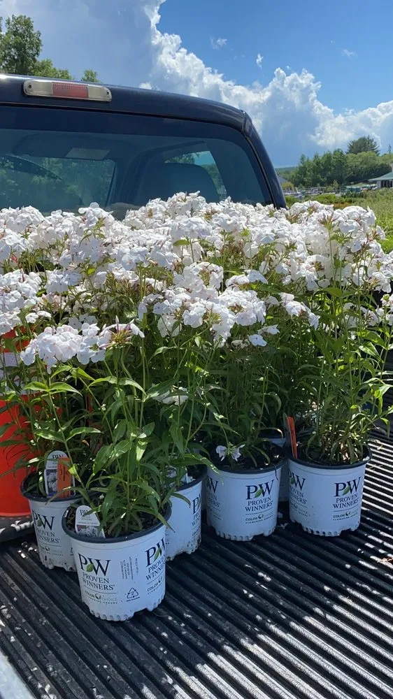 Professional landscape installation for beautiful yards across Medway, MA - D4 Landscaping