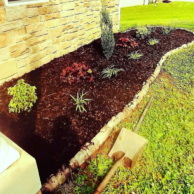 Expert residential landscaping in Austin, TX - D5 Landscaping Services