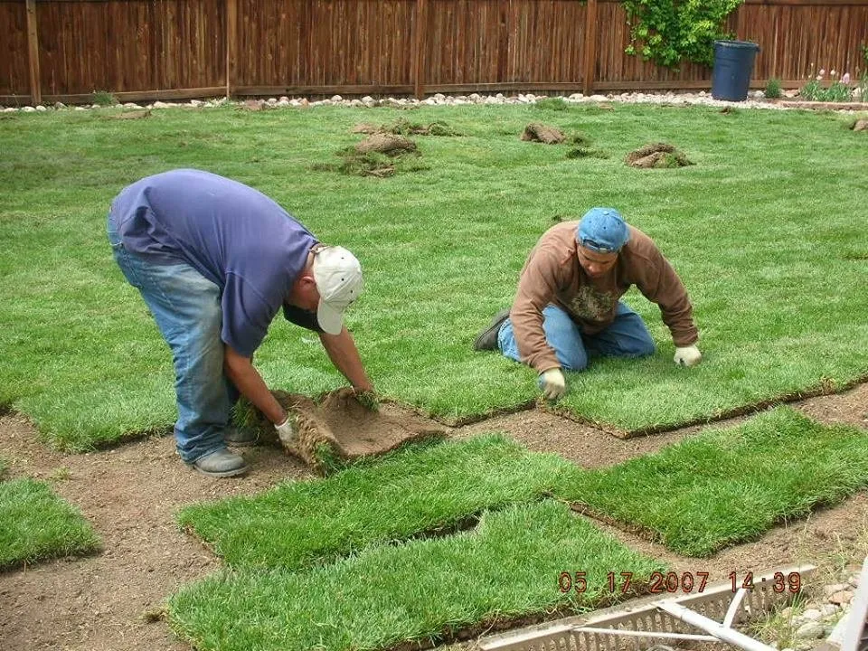 Local yard maintenance in Austin, TX by D5 Landscaping Services