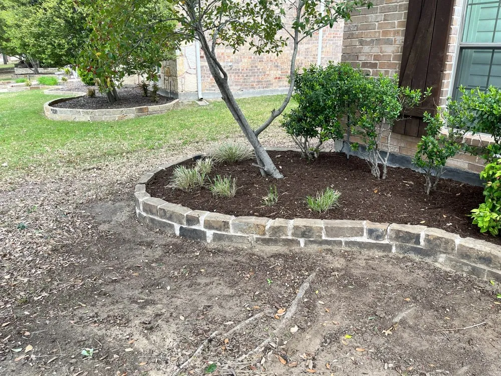 Top-rated yard cleanup service experts serving Frisco, TX - D5 Lawn Care