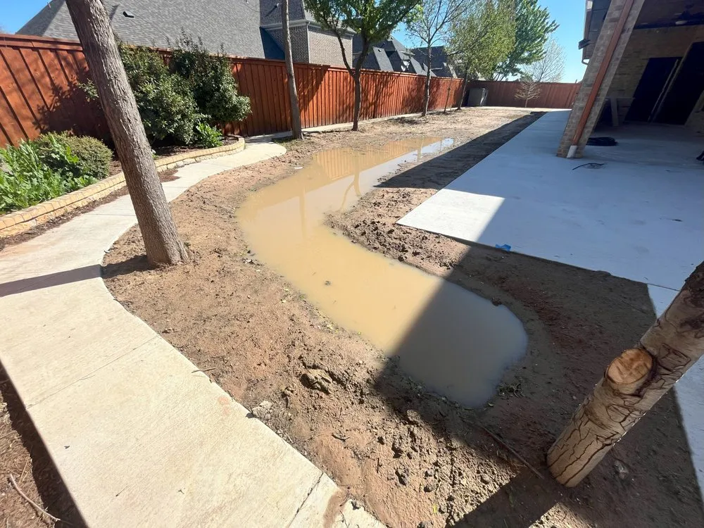 Affordable lawn care service in Frisco, TX - D5 Lawn Care