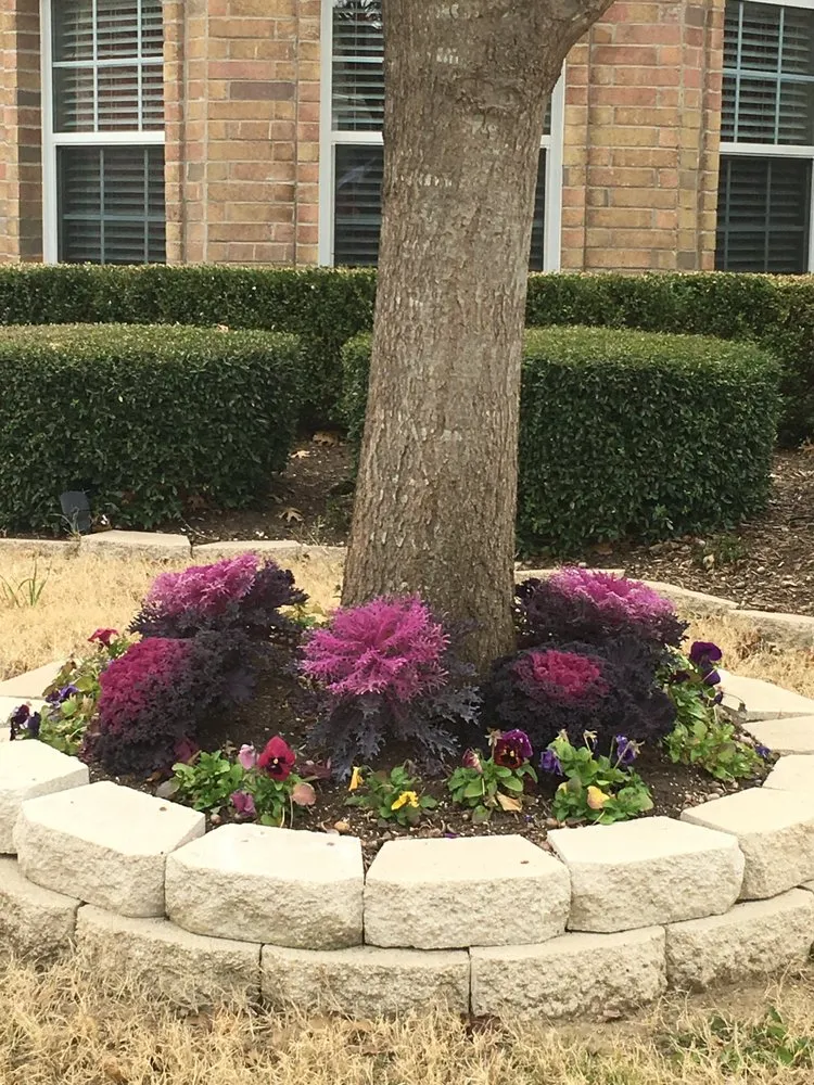 Top-rated lawn mowing service with custom design in Frisco, TX by D5 Lawn Care