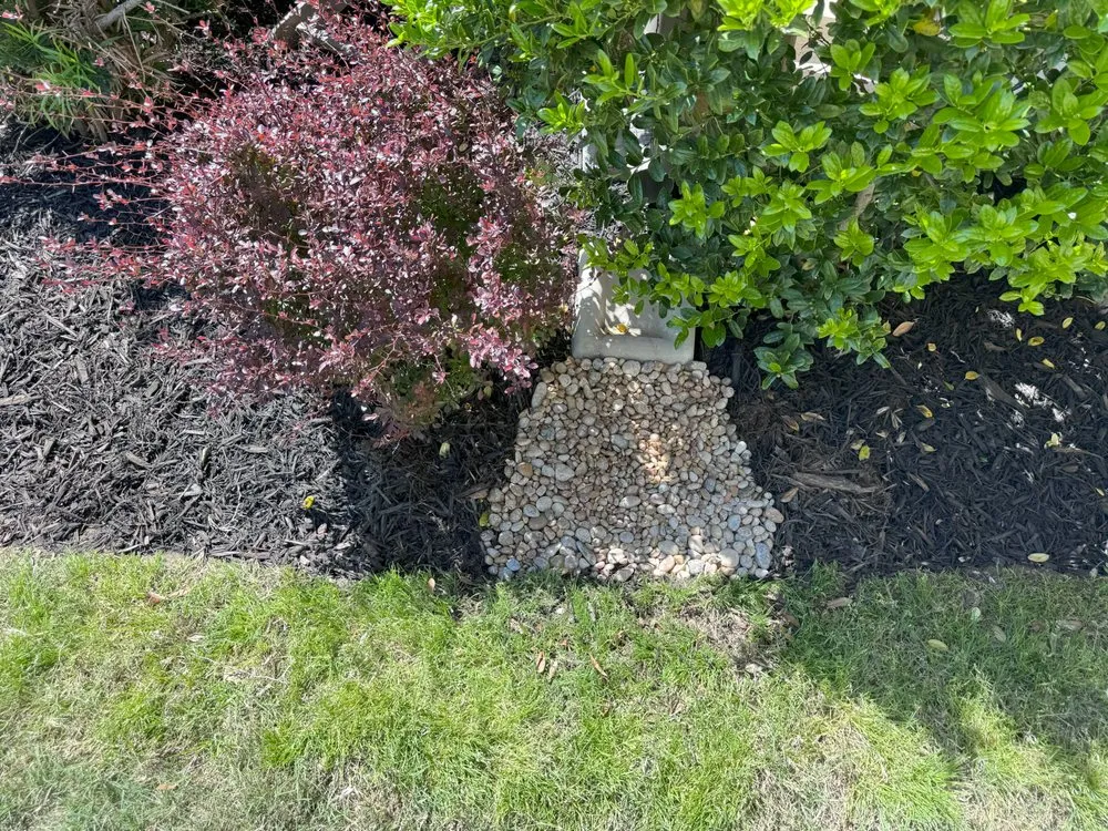 Custom lawn mowing service in Frisco, TX - D5 Lawn Care