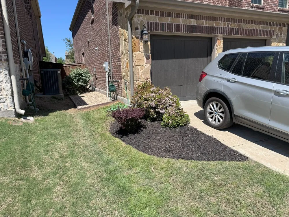 Affordable yard cleanup service in Frisco, TX - D5 Lawn Care