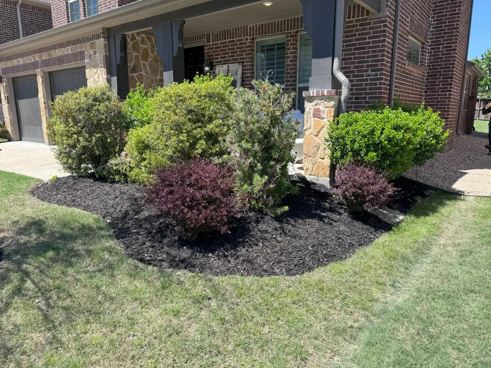 Affordable residential landscaping in Frisco, TX by D5 Lawn Care