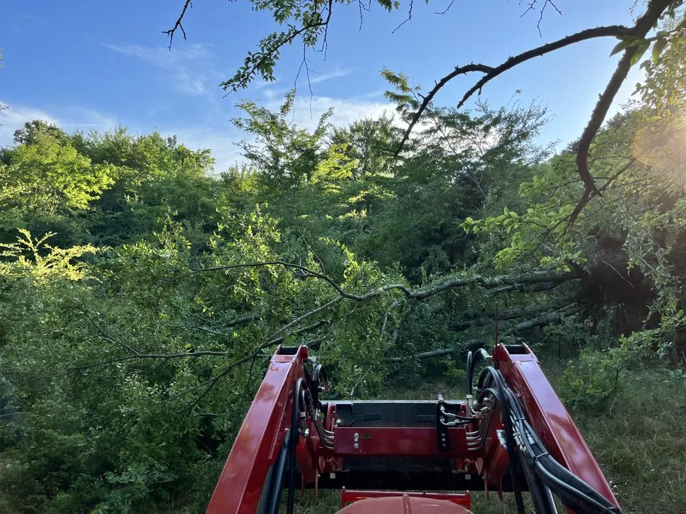 Reliable landscaping services with custom design across Frisco, TX - D5 Plus