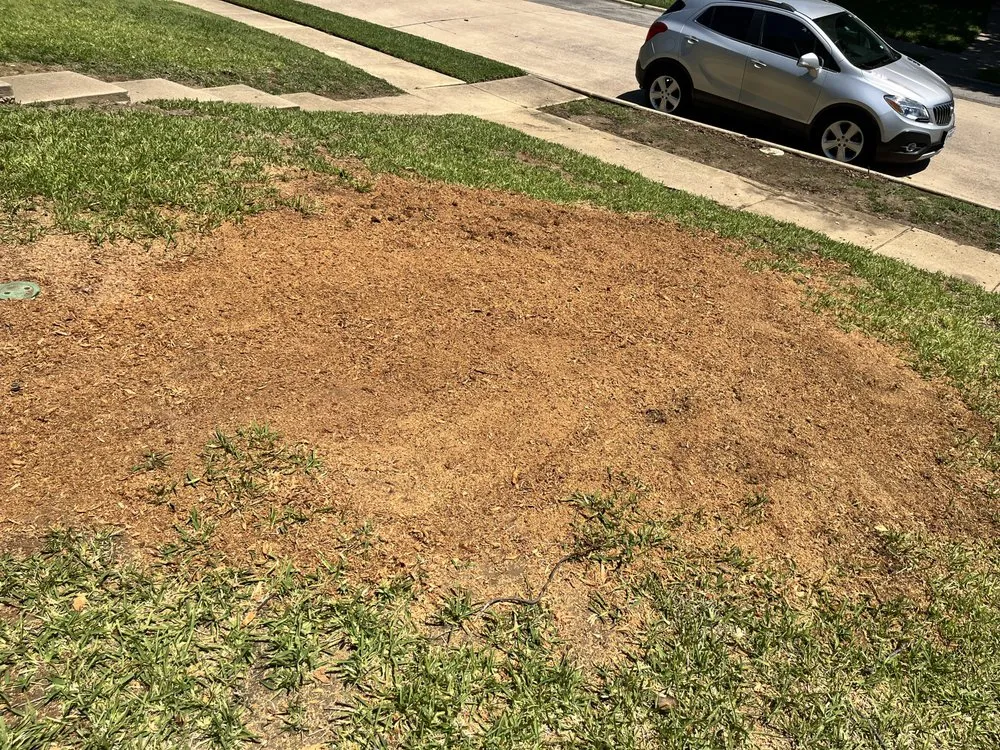 Trusted residential landscaping for beautiful yards in Frisco, TX by D5 Plus